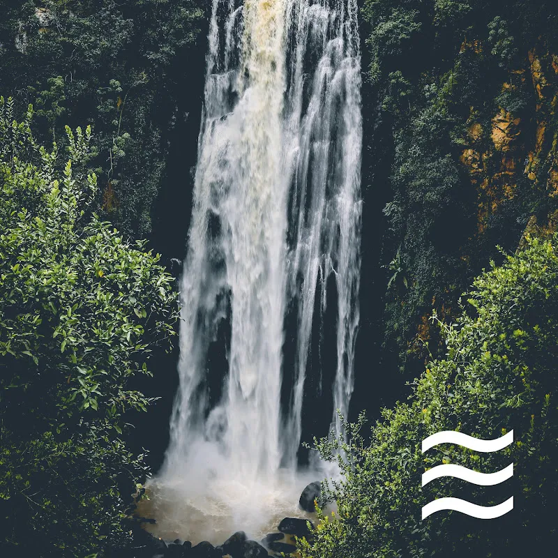 Cosy Raining for Dogs - Topic